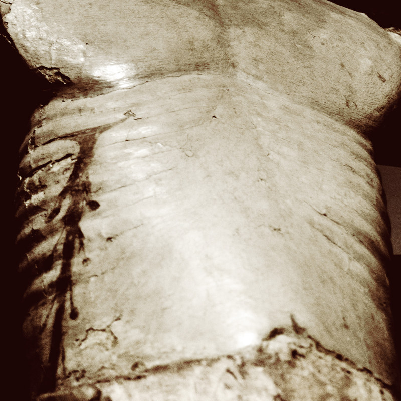 Body of God, photography by Cangrande